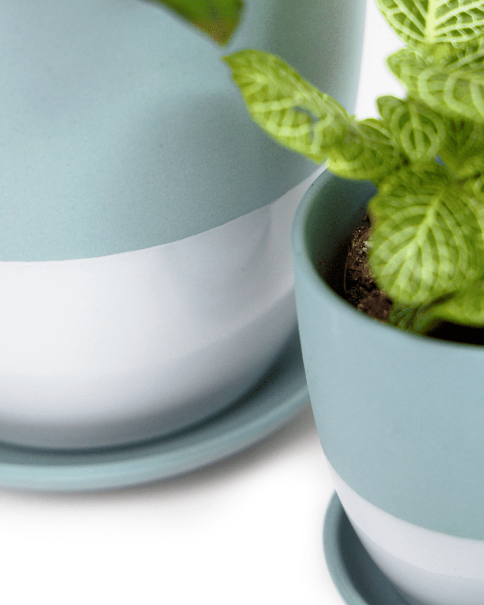 Dyad Porcelain Modern Indoor Plant Pot With Saucer - Chive UK Wholesale