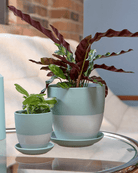 Dyad Porcelain Modern Indoor Plant Pot With Saucer - Chive UK Wholesale