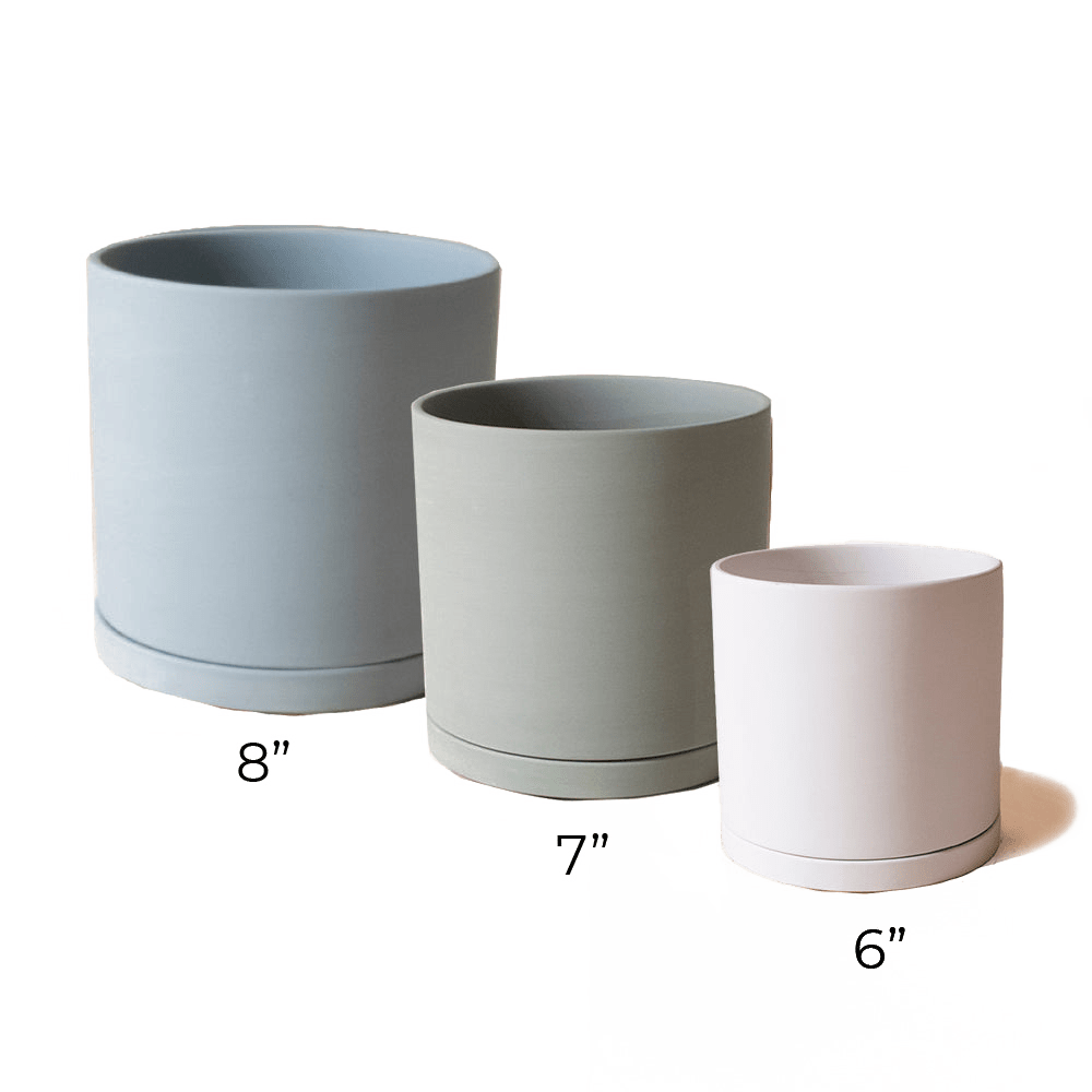 Dojo Porcelain Modern Indoor Plant Pot With Saucer - Chive UK Wholesale