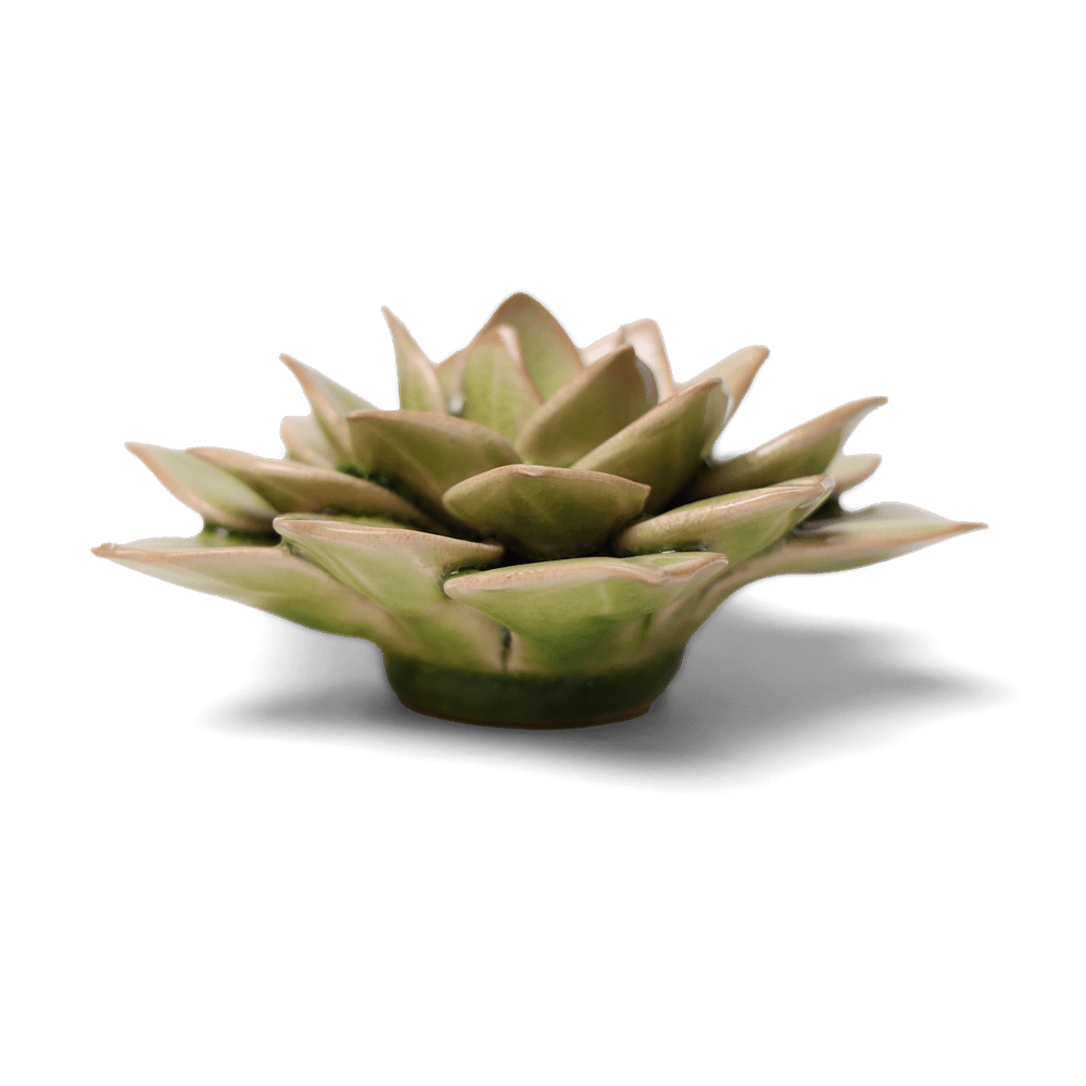 English Garden Ceramic Flower Green Medium Succulent - Chive UK Wholesale