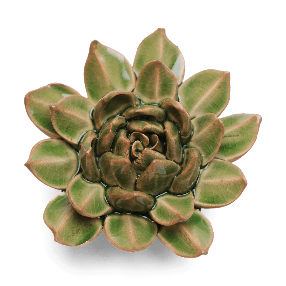 English Garden Ceramic Flower Green Small Succulent - Chive UK Wholesale