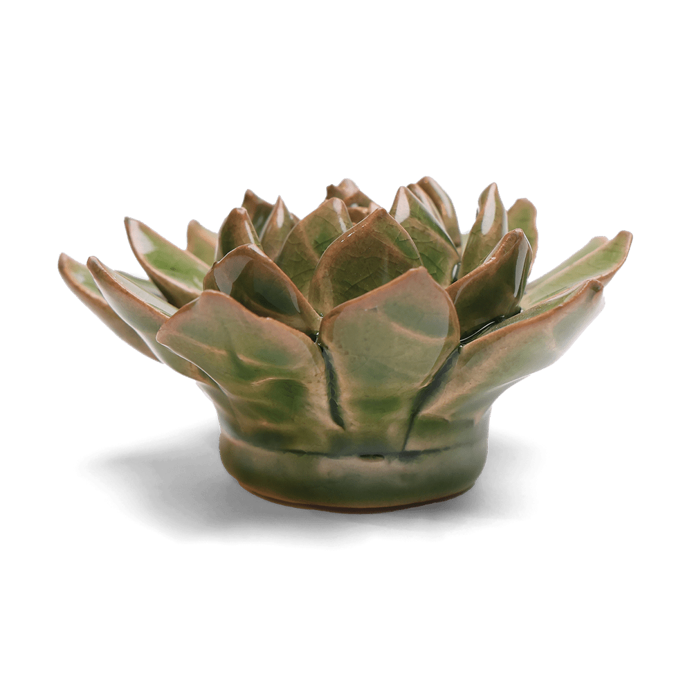 English Garden Ceramic Flower Green Small Succulent - Chive UK Wholesale