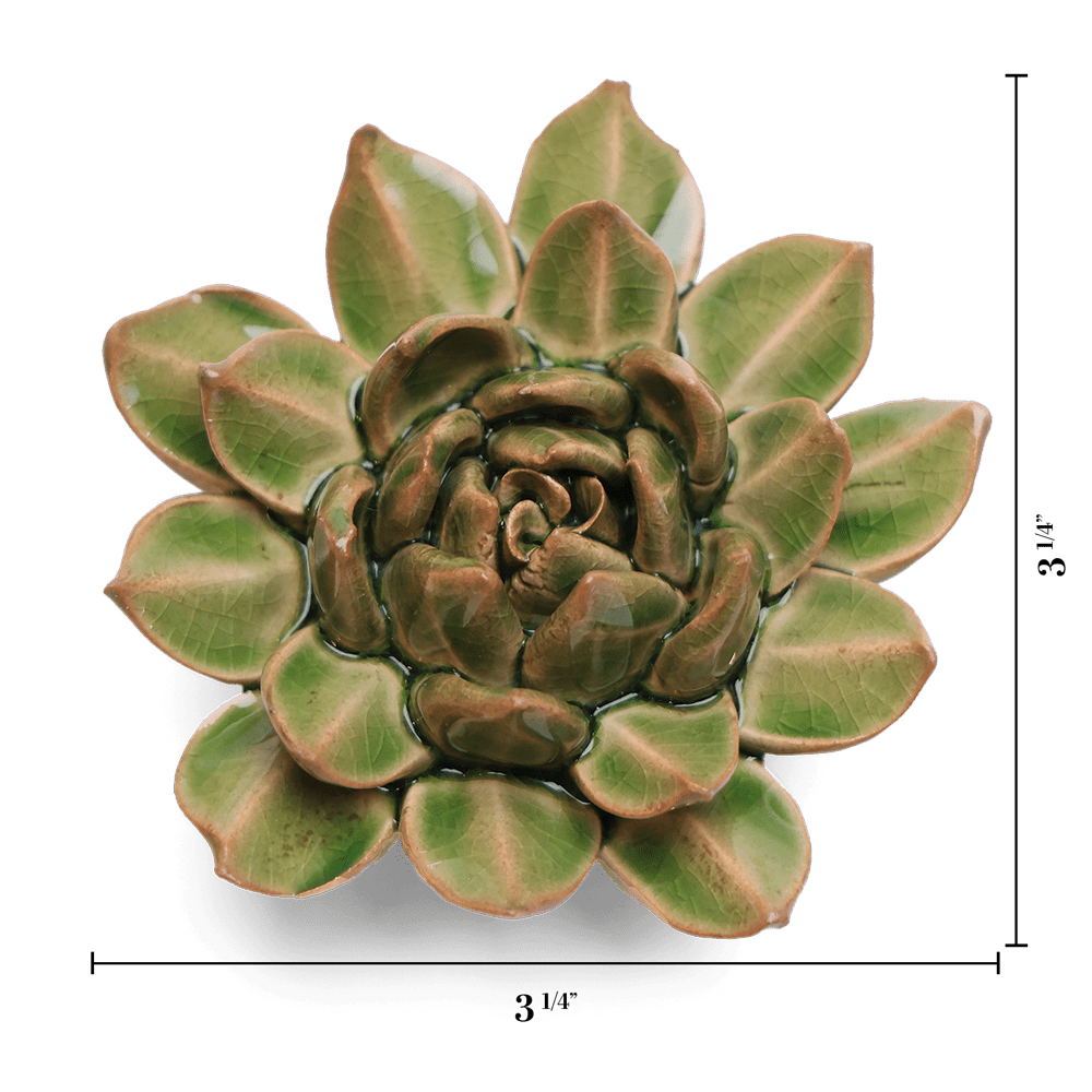 English Garden Ceramic Flower Green Small Succulent - Chive UK Wholesale