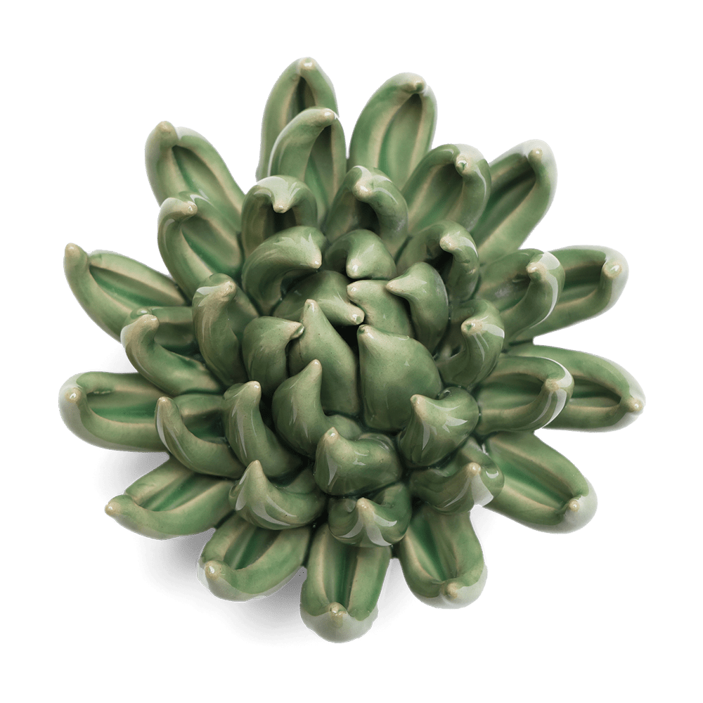 English Garden Ceramic Flower Green Large Succulent - Chive UK Wholesale