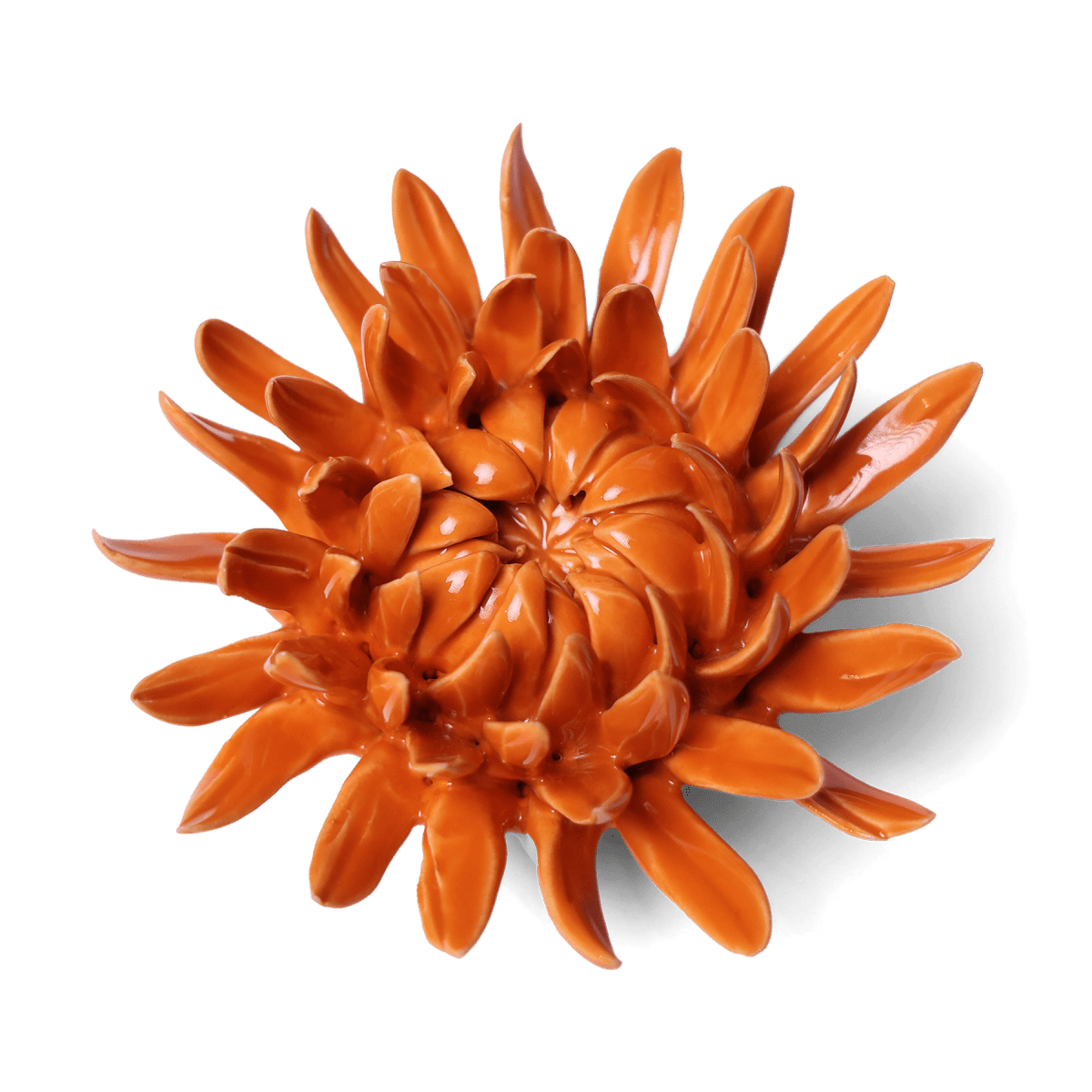 English Garden Orange Sarah Mum - Chive UK Wholesale