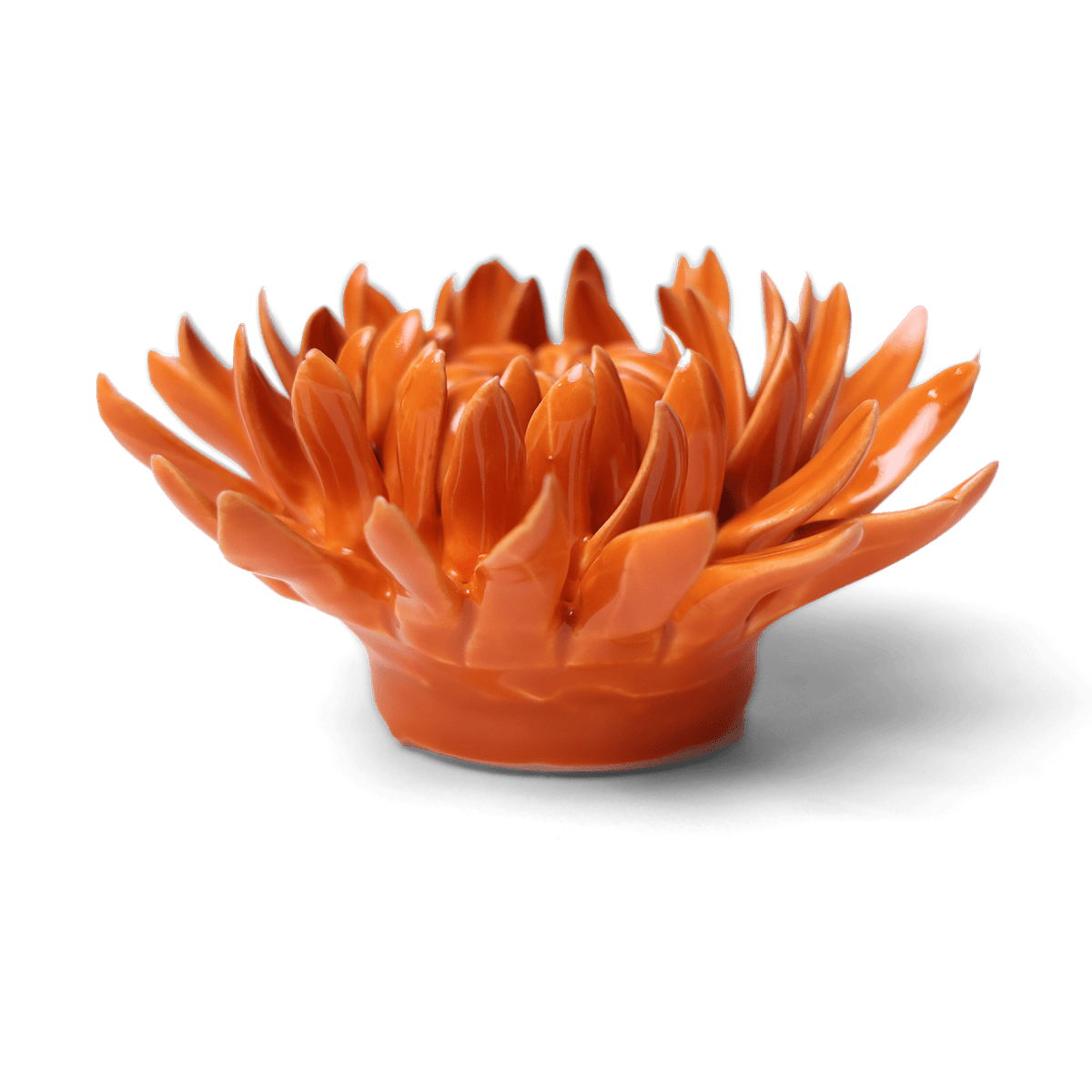 English Garden Orange Sarah Mum - Chive UK Wholesale