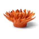 English Garden Orange Sarah Mum - Chive UK Wholesale