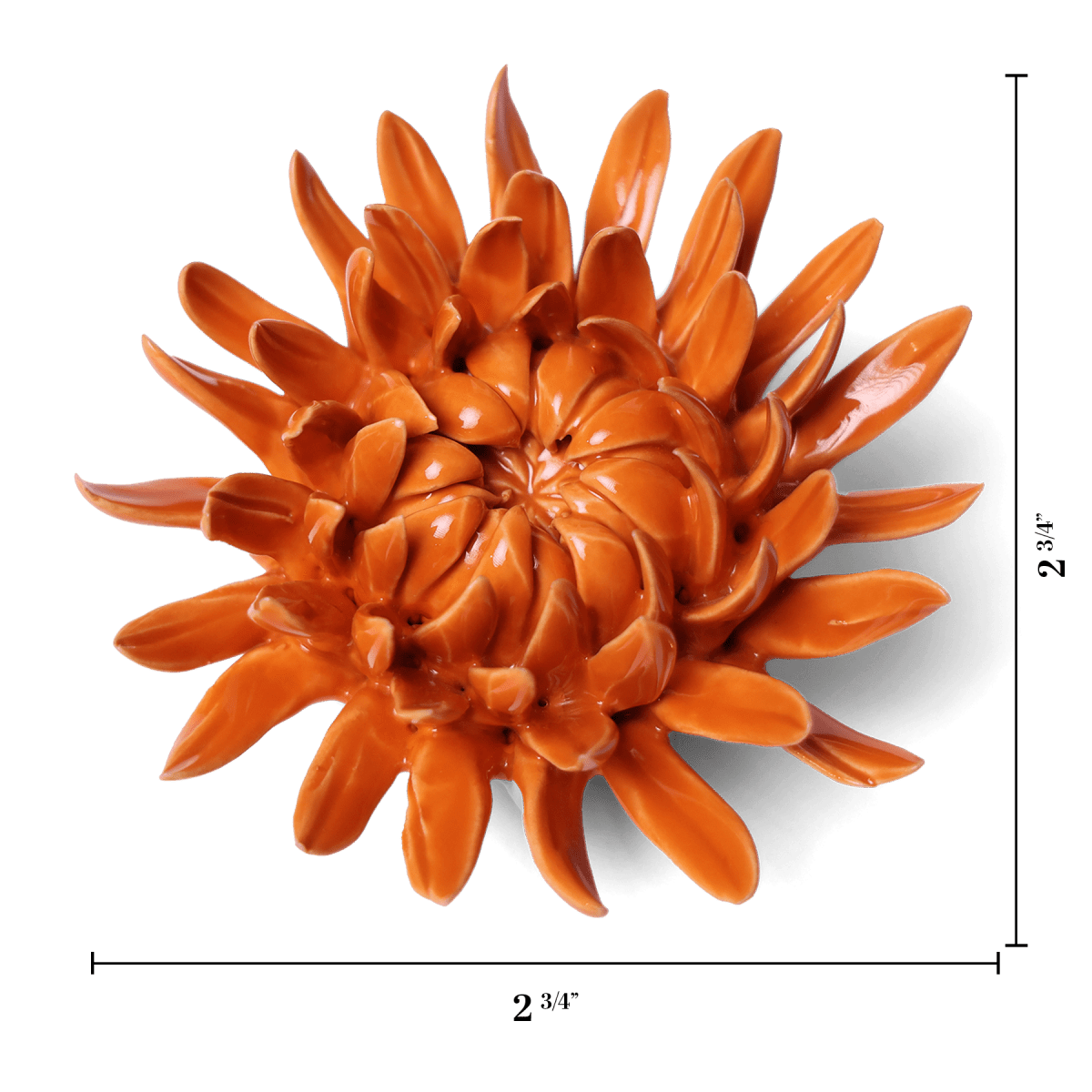 English Garden Orange Sarah Mum - Chive UK Wholesale