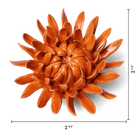 English Garden Orange Sarah Mum - Chive UK Wholesale