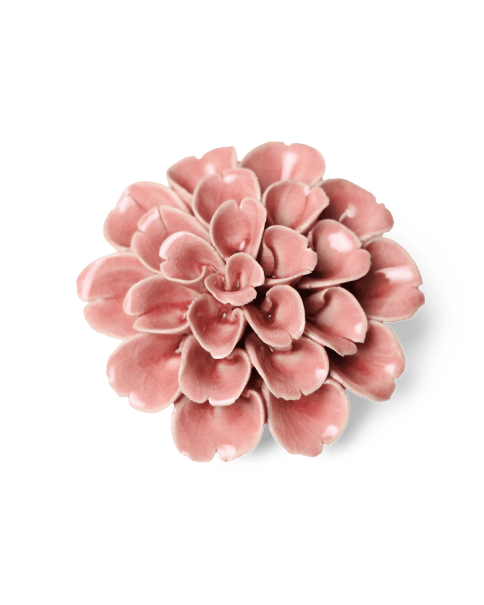 EG36 Champagne Pink Hydrangea - Chive UK Wholesale