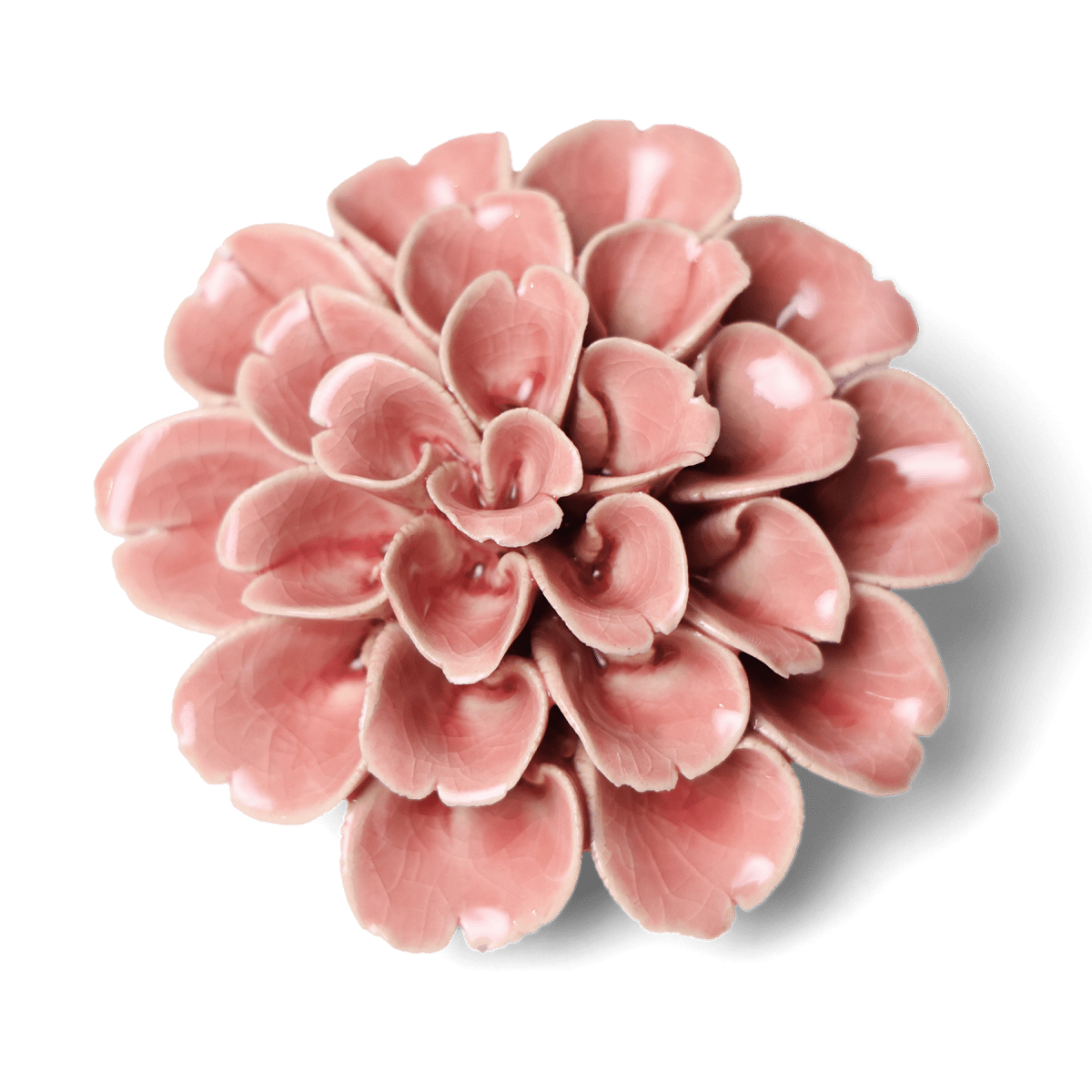English Garden Champagne Pink Hydrangea - Chive UK Wholesale