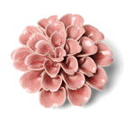 English Garden Champagne Pink Hydrangea - Chive UK Wholesale