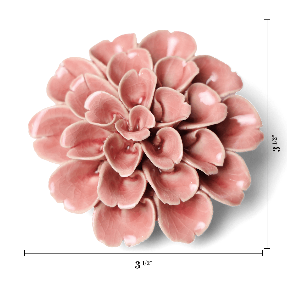 English Garden Champagne Pink Hydrangea - Chive UK Wholesale