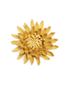 EG38 Canary Yellow Sarah Mum - Chive UK Wholesale