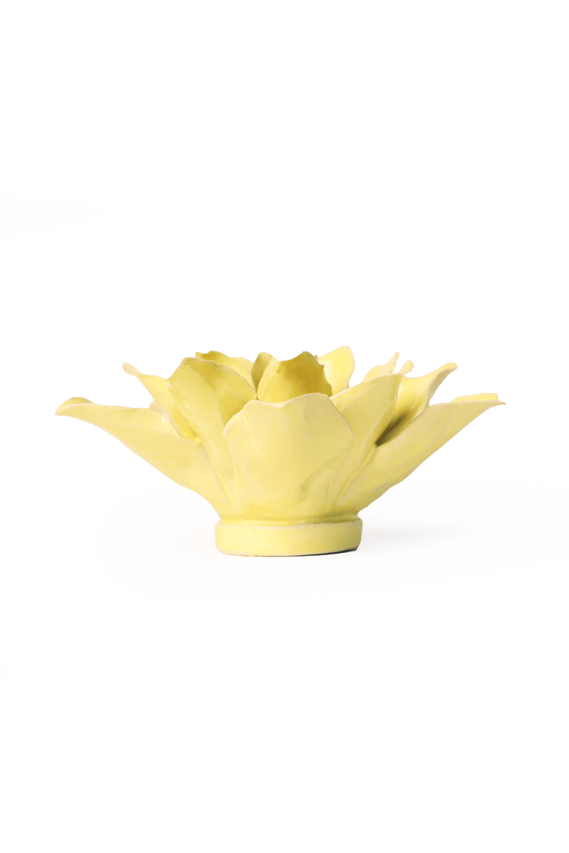 English Garden Lime Yellow Tiger Lily - Chive UK Wholesale