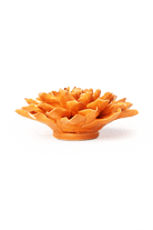 English Garden Orange Autumn Azalea - Chive UK Wholesale