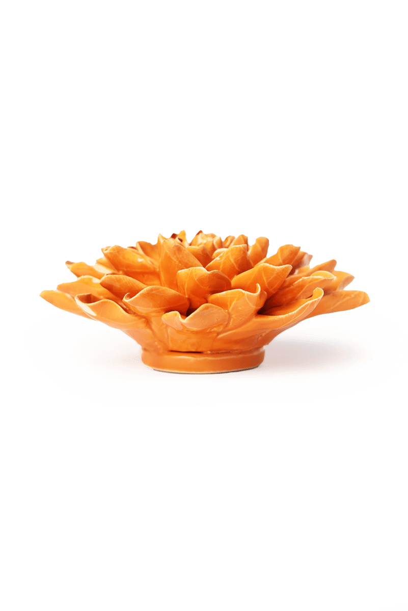 English Garden Orange Autumn Azalea - Chive UK Wholesale
