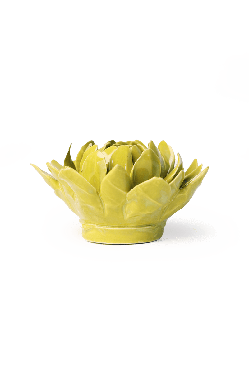 English Garden Chartreuse Sugarbush Protea - Chive UK Wholesale
