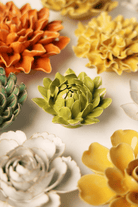 English Garden Chartreuse Sugarbush Protea - Chive UK Wholesale