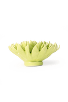 English Garden Yellow Green Pompom Mum - Chive UK Wholesale