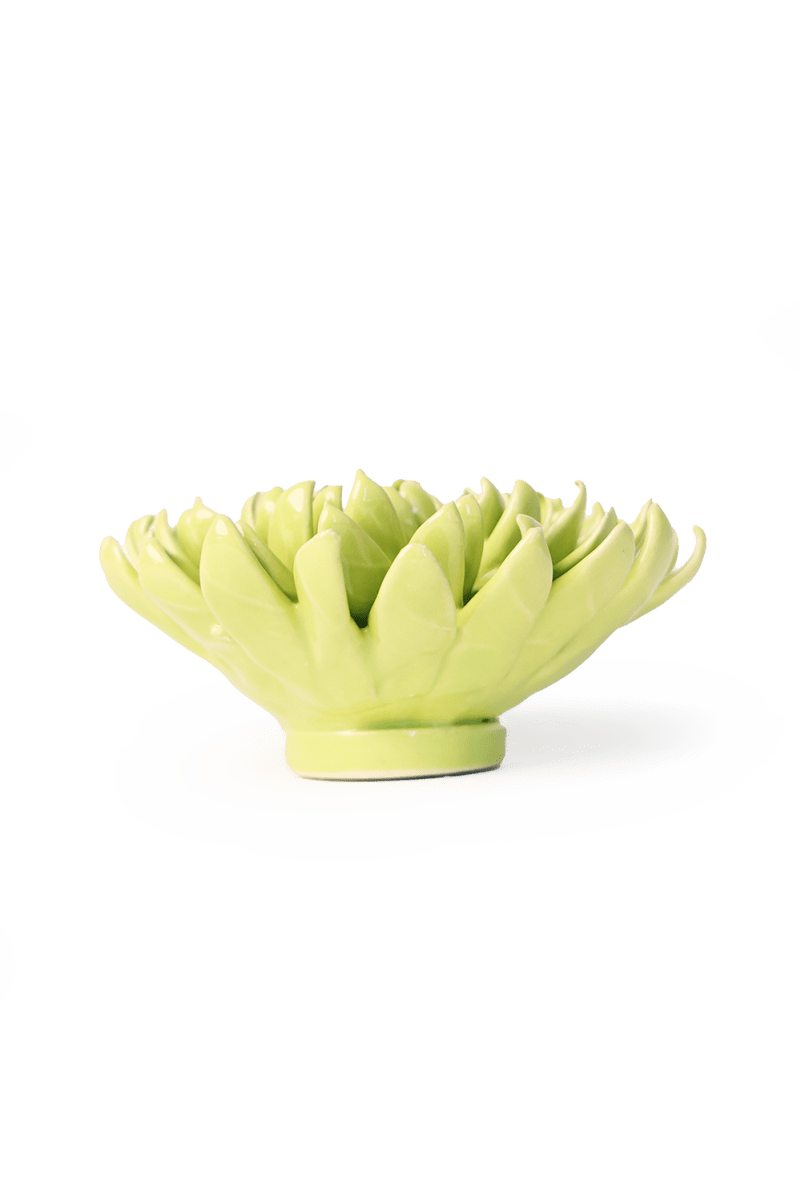 English Garden Yellow Green Pompom Mum - Chive UK Wholesale