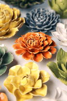 English Garden Orange Fiesta Marigold - Chive UK Wholesale