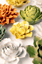 English Garden Buttercup Yellow Daffodil - Chive UK Wholesale