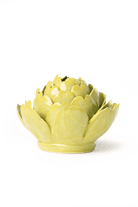 English Garden Chartreuse Queen Protea - Chive UK Wholesale
