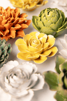 English Garden Burnt Yellow Begonia - Chive UK Wholesale