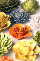 English Garden Orange Elegance Ranunculus - Chive UK Wholesale