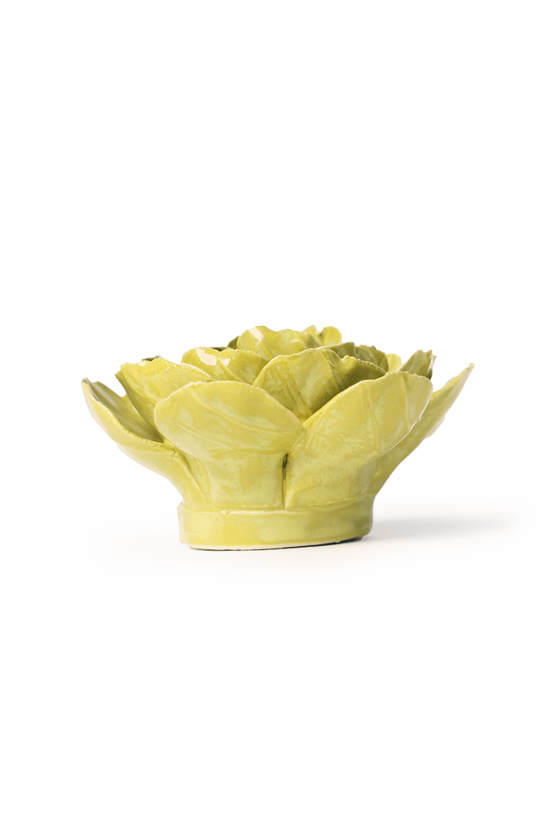 English Garden Chartreuse Primrose - Chive UK Wholesale