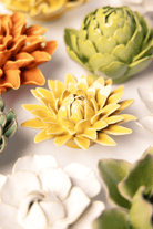 English Garden Burnt Yellow Strawflower - Chive UK Wholesale