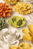 English Garden Chartreuse Elegance Ranunculus - Chive UK Wholesale