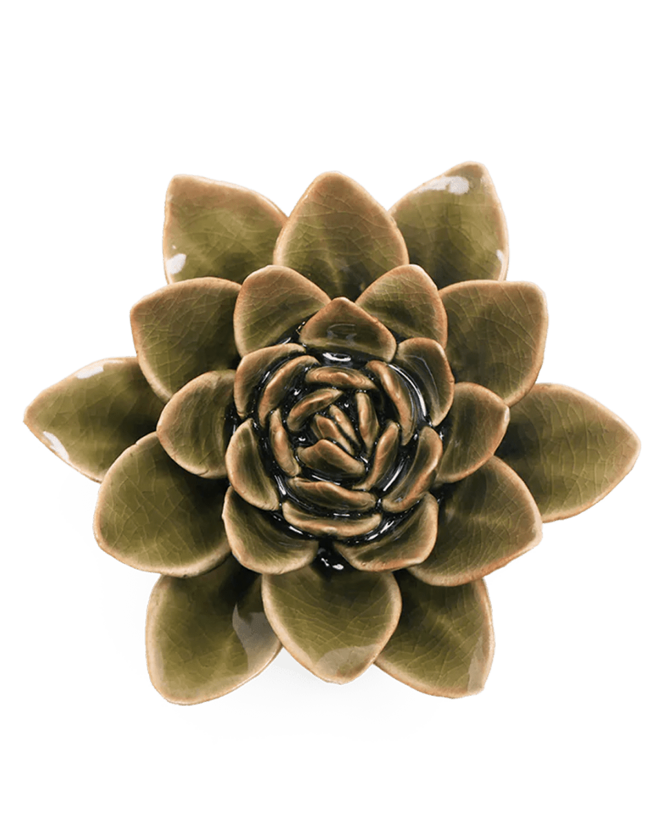 EG01 Olive Green Echeveria - Chive UK Wholesale