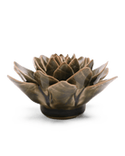 EG01 Olive Green Echeveria - Chive UK Wholesale