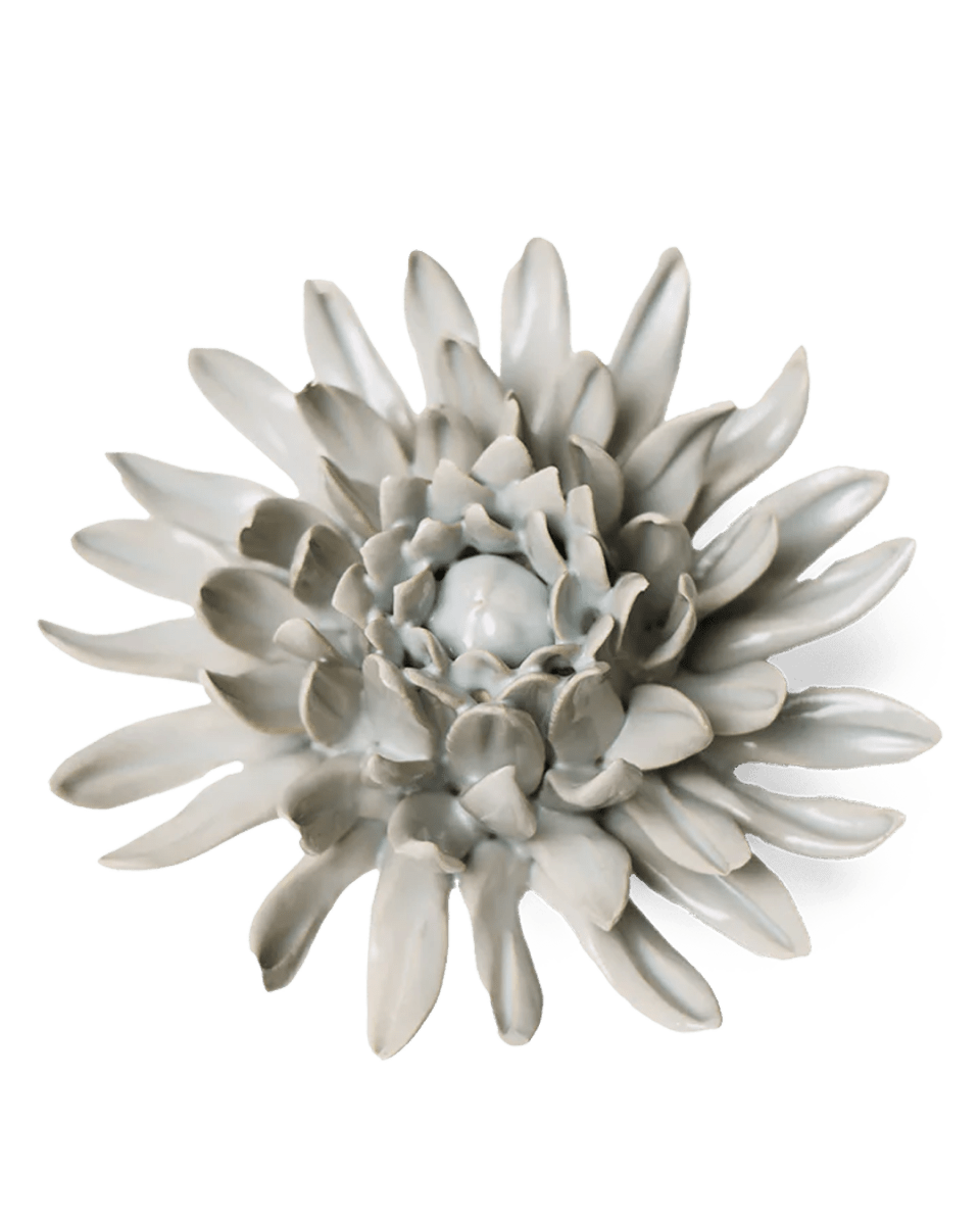 EG02 Panache Green Spider Mum - Chive UK Wholesale