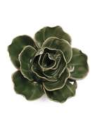 EG03 Fir Green Butterfly Ranunculus - Chive UK Wholesale