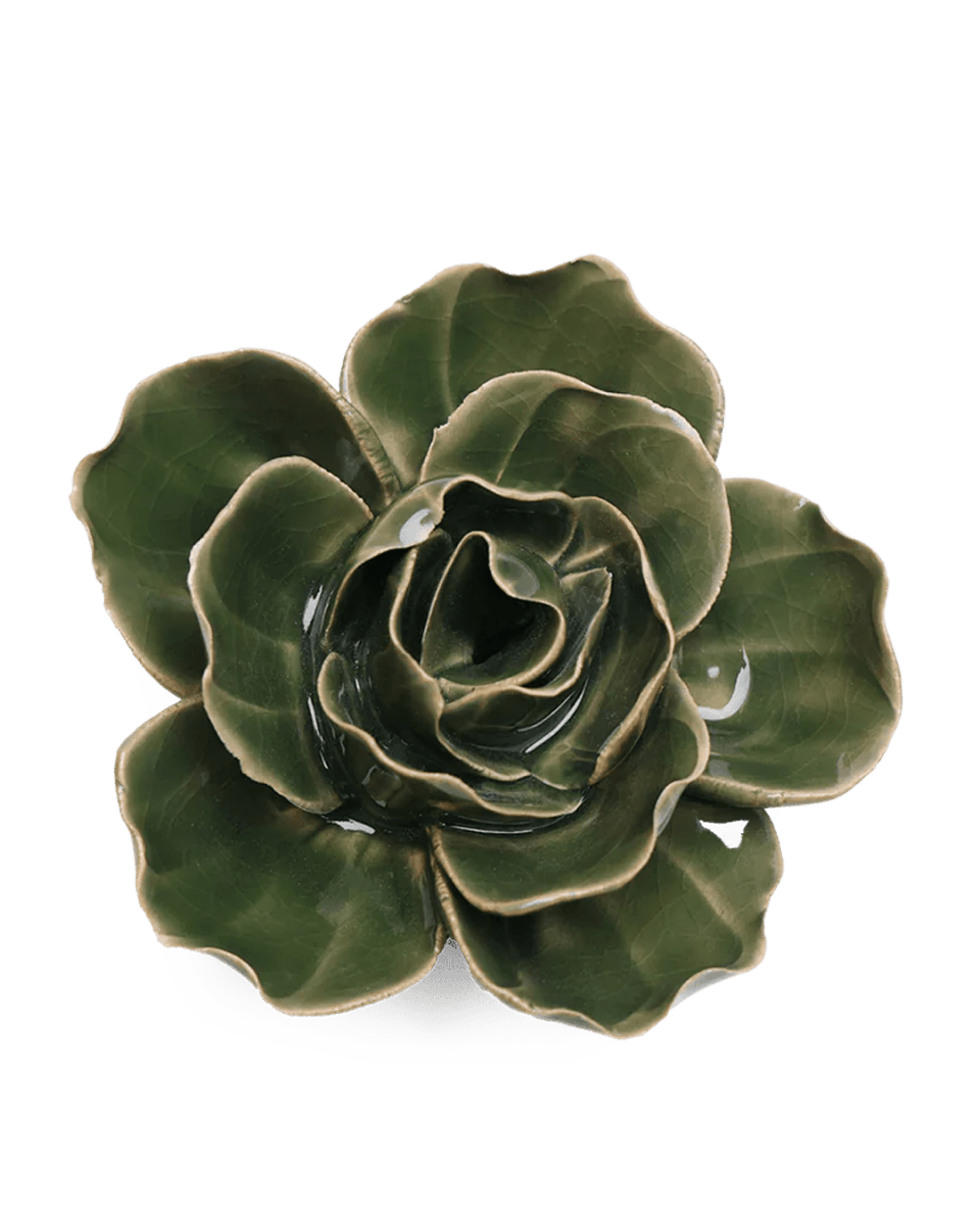 EG03 Fir Green Butterfly Ranunculus - Chive UK Wholesale