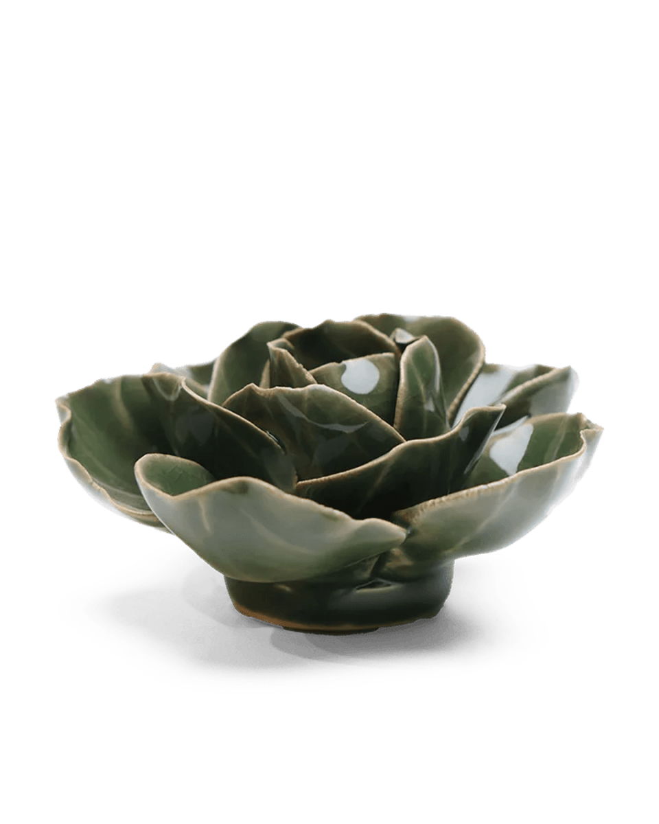 EG03 Fir Green Butterfly Ranunculus - Chive UK Wholesale