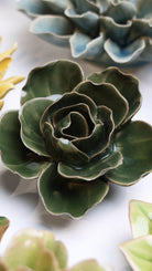 EG03 Fir Green Butterfly Ranunculus - Chive UK Wholesale