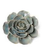 EG04 Powder Blue Amandine Ranunculus - Chive UK Wholesale