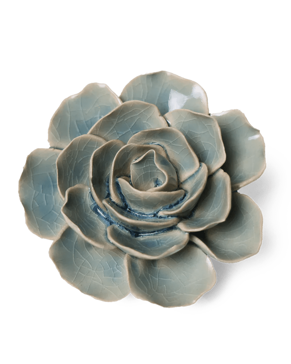 EG04 Powder Blue Amandine Ranunculus - Chive UK Wholesale