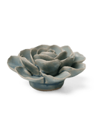 EG04 Powder Blue Amandine Ranunculus - Chive UK Wholesale