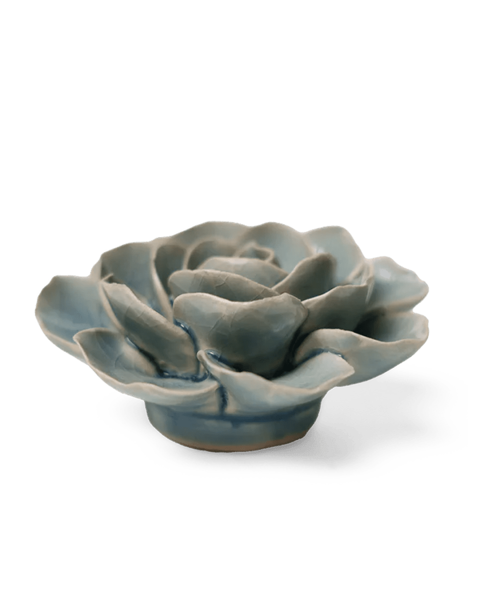 EG04 Powder Blue Amandine Ranunculus - Chive UK Wholesale