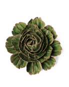 EG05 Avocado Green Rozella Peony - Chive UK Wholesale