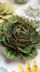 EG05 Avocado Green Rozella Peony - Chive UK Wholesale