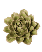 EG06 Peridot Comanche Peony - Chive UK Wholesale