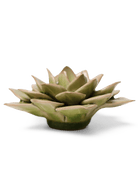 EG10 Peridot Green Fairy Echeveria - Chive UK Wholesale