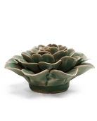 EG11 Jungle Green Tea Rose - Chive UK Wholesale