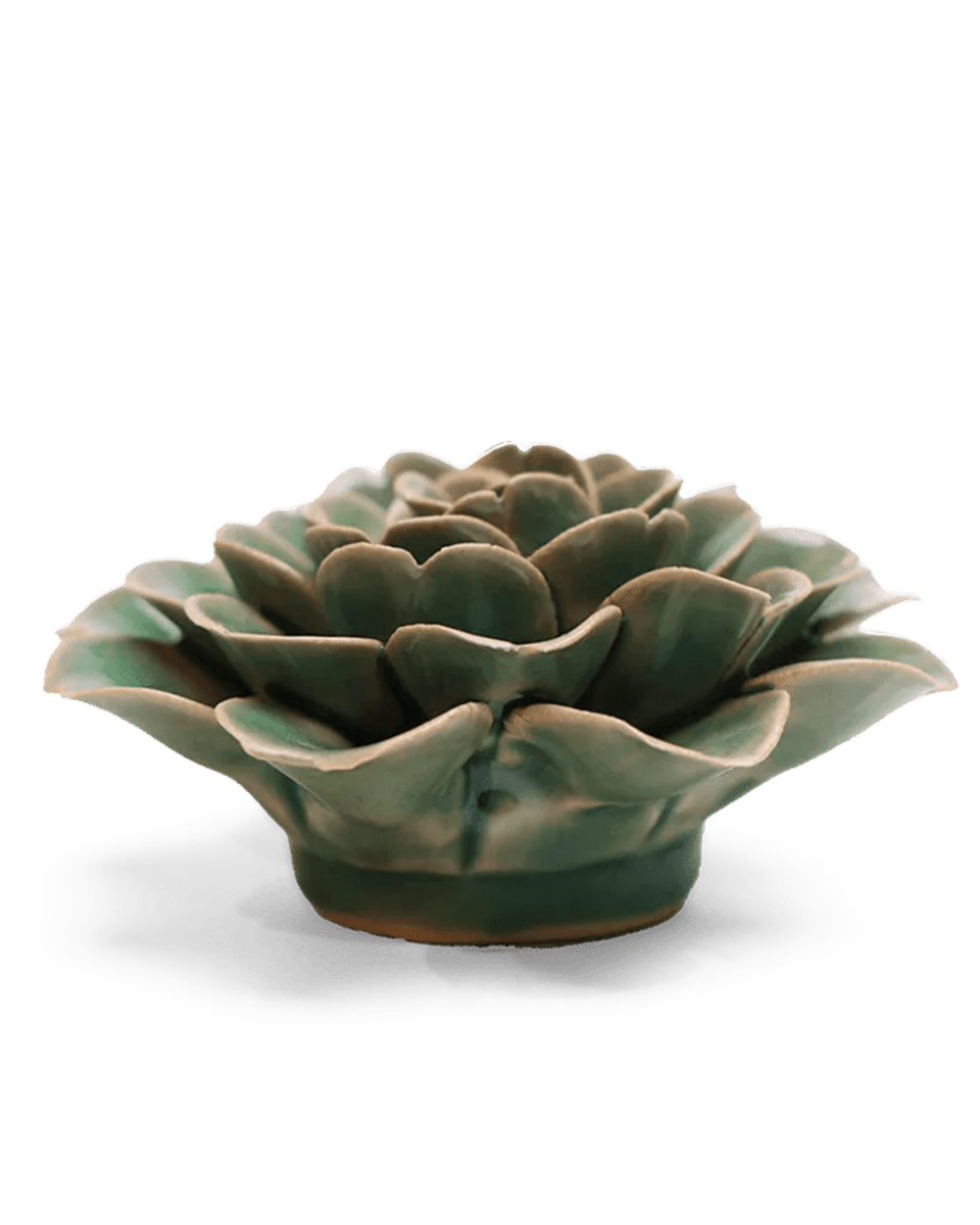 EG11 Jungle Green Tea Rose - Chive UK Wholesale